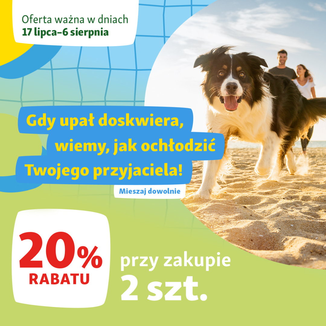 Obrazek - Promocja