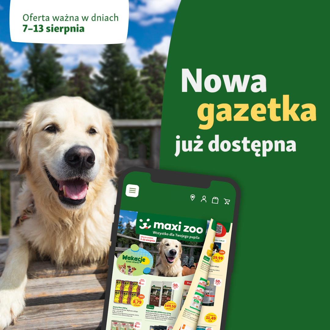 Obrazek - Promocja