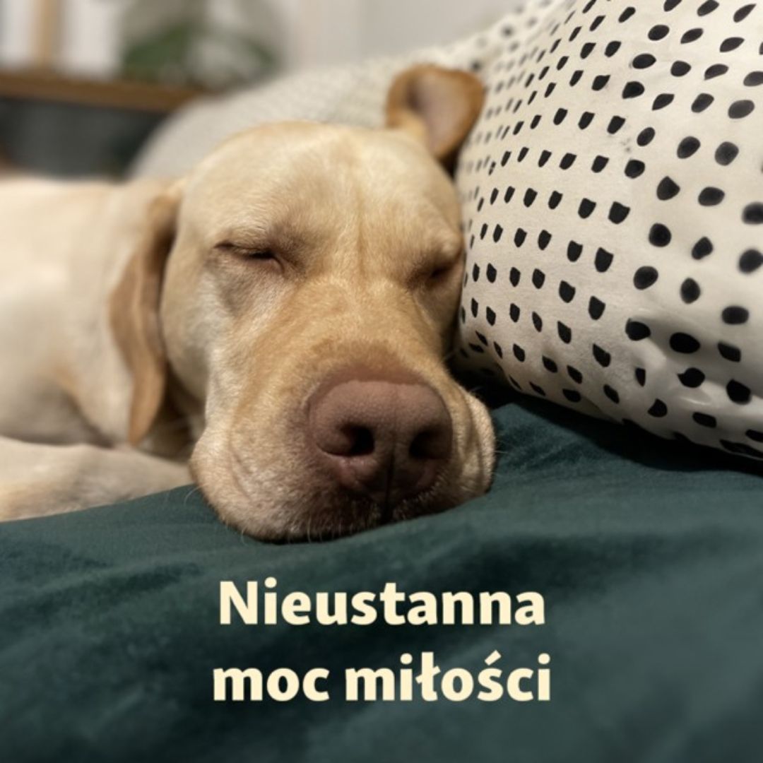Obrazek - Promocja