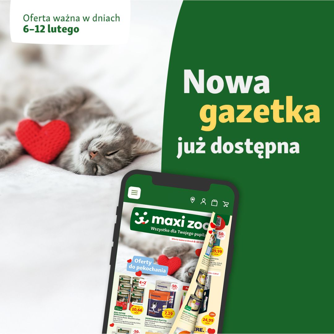 Obrazek - Promocja