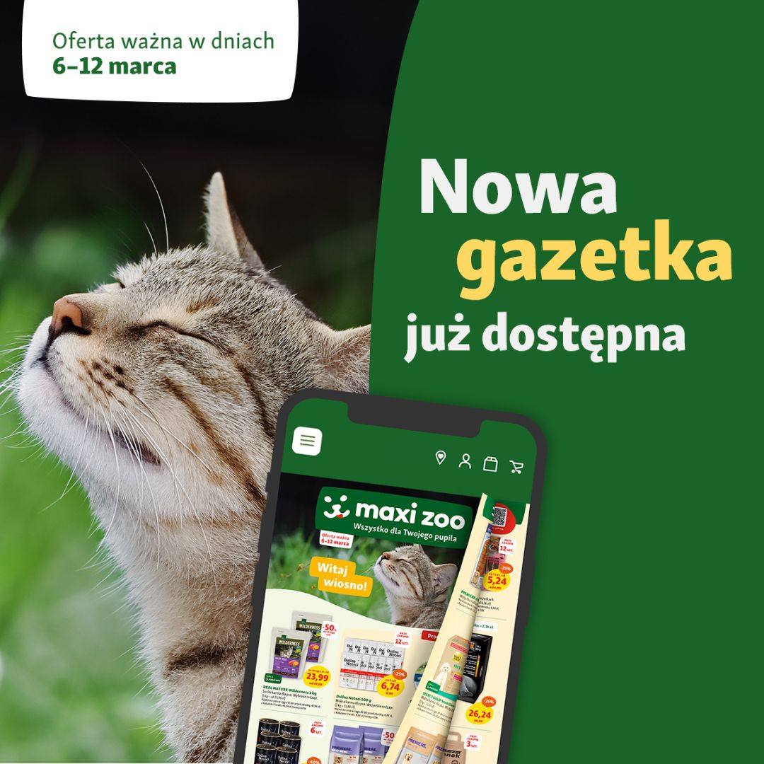 Obrazek - Promocja