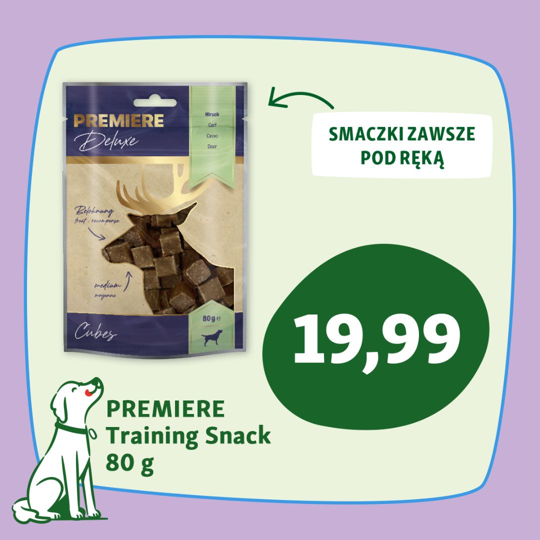 Obrazek - Promocja