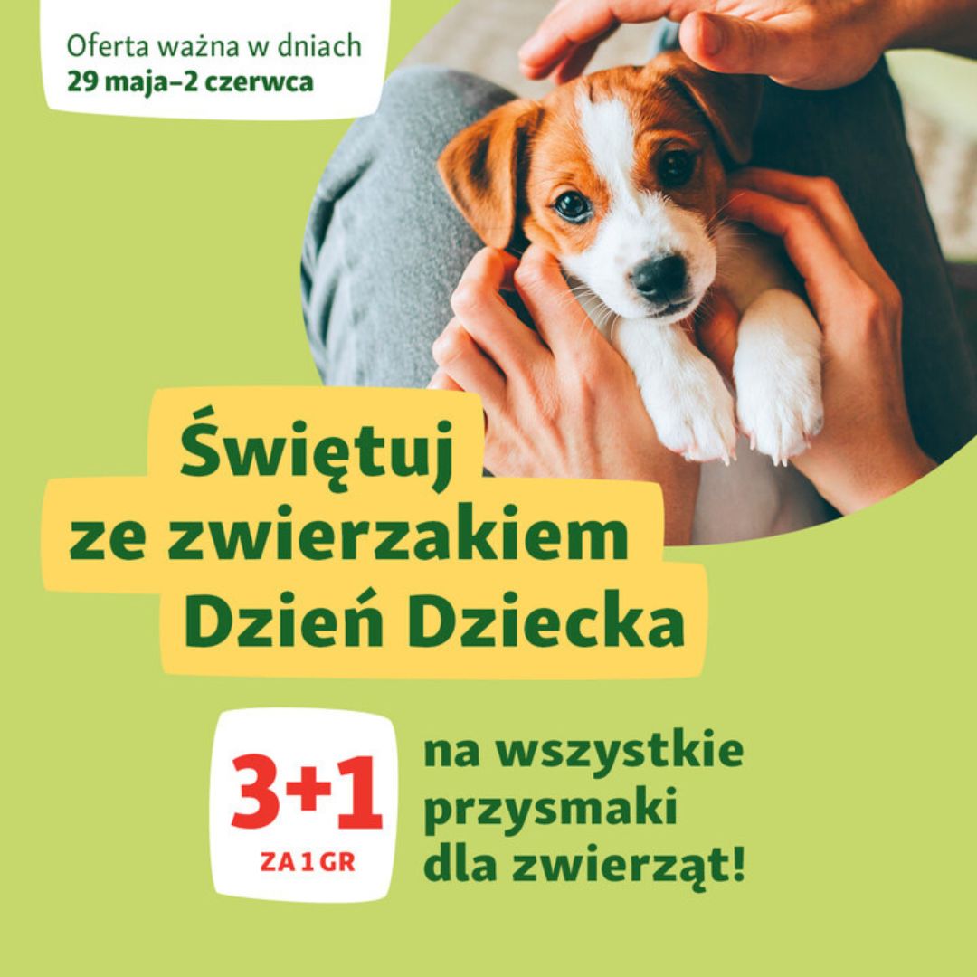 Obrazek - Promocja