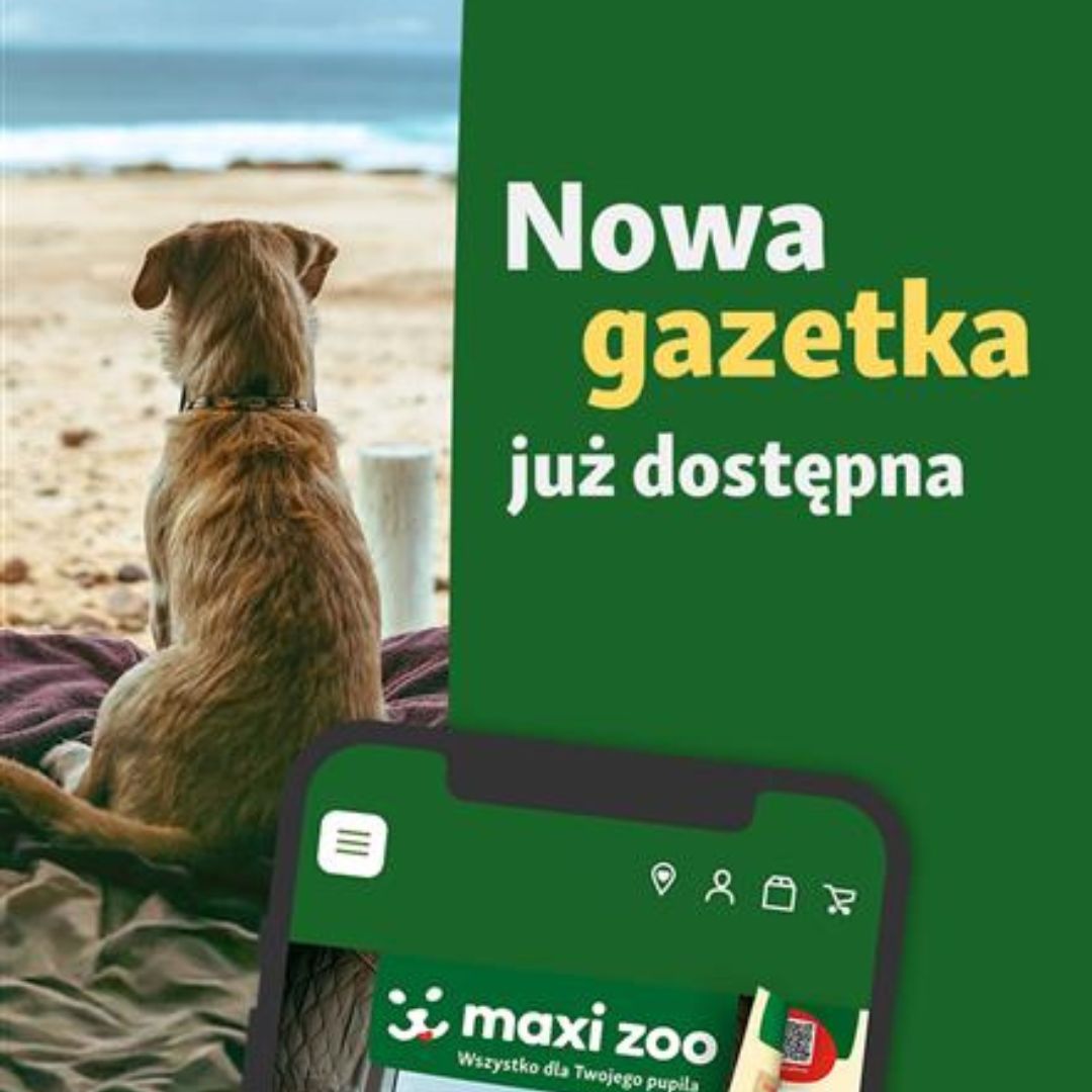 Obrazek - Promocja