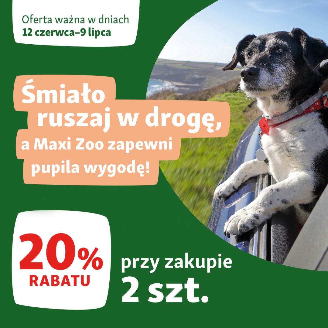 Obrazek - Promocja
