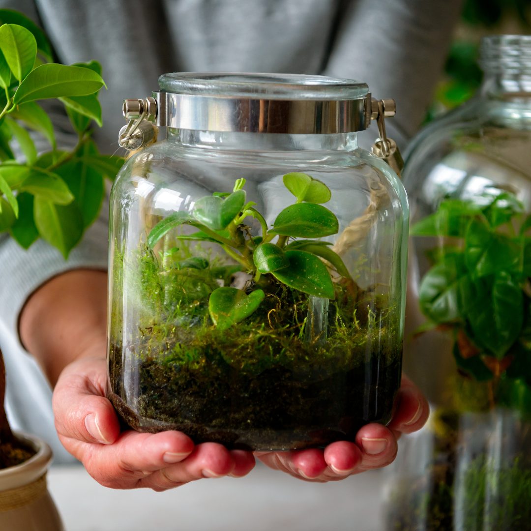 Warsztaty „Las w słoiku” w Galerii Rumia