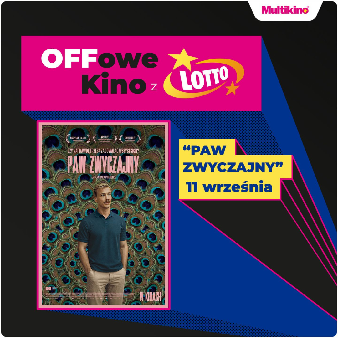 Paw zwyczajny w Multikinie Rumia