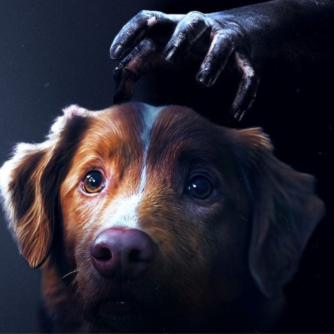 Horror, który zobaczysz oczami psa