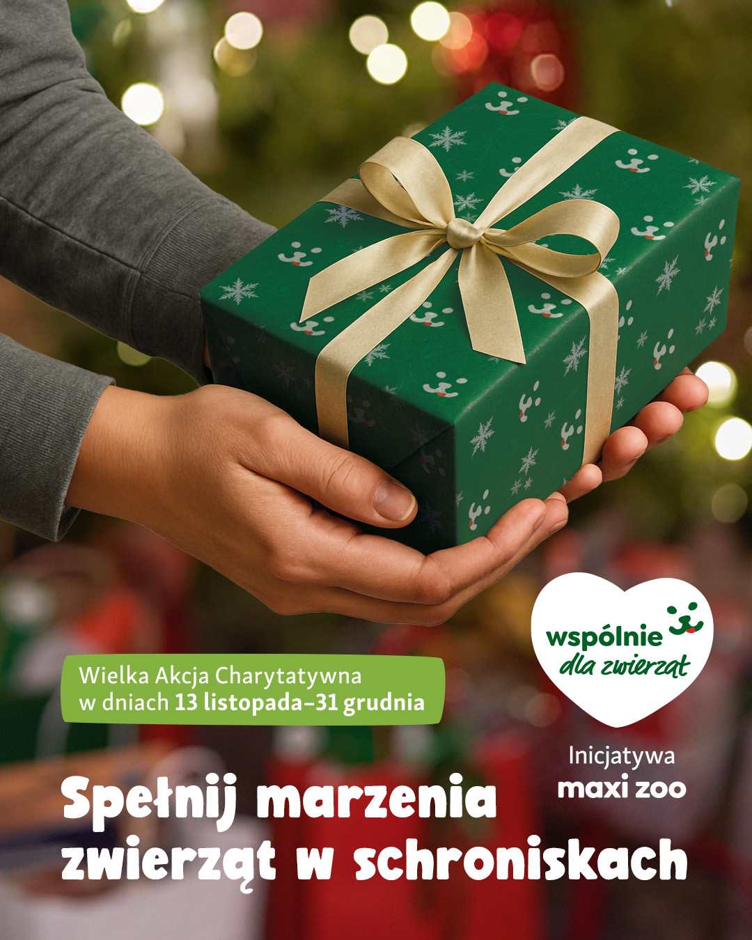 Wielka akcja charytatywna MaxiZoo - Akcja choinka
